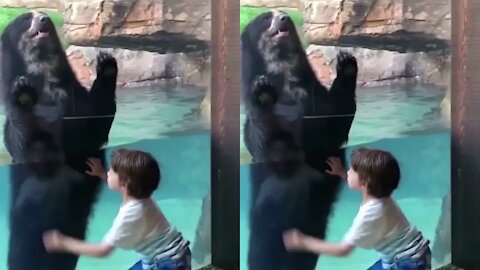 5 year old boy and baby bear jump together