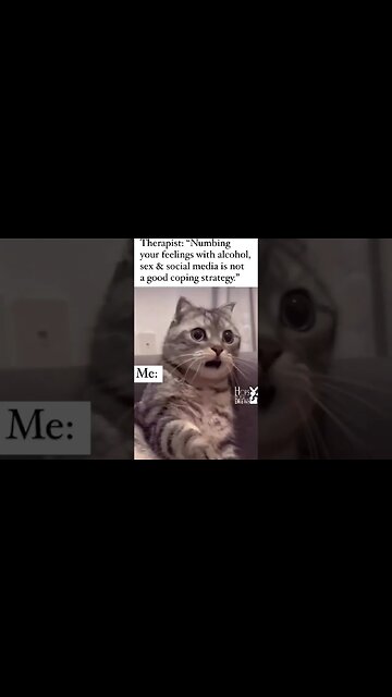 wait....WHAT!?! #funny #humor #hopsandbrews