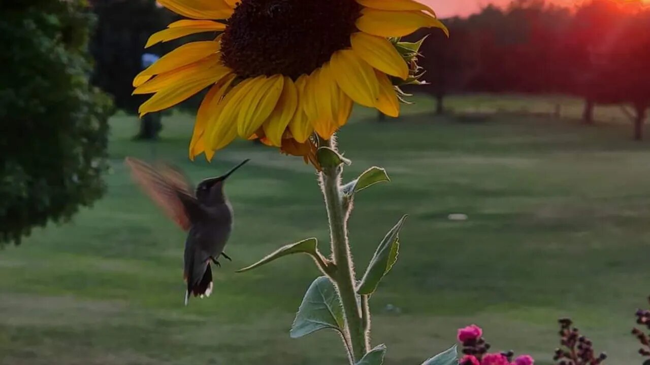 Road And Tow Show Episode 41