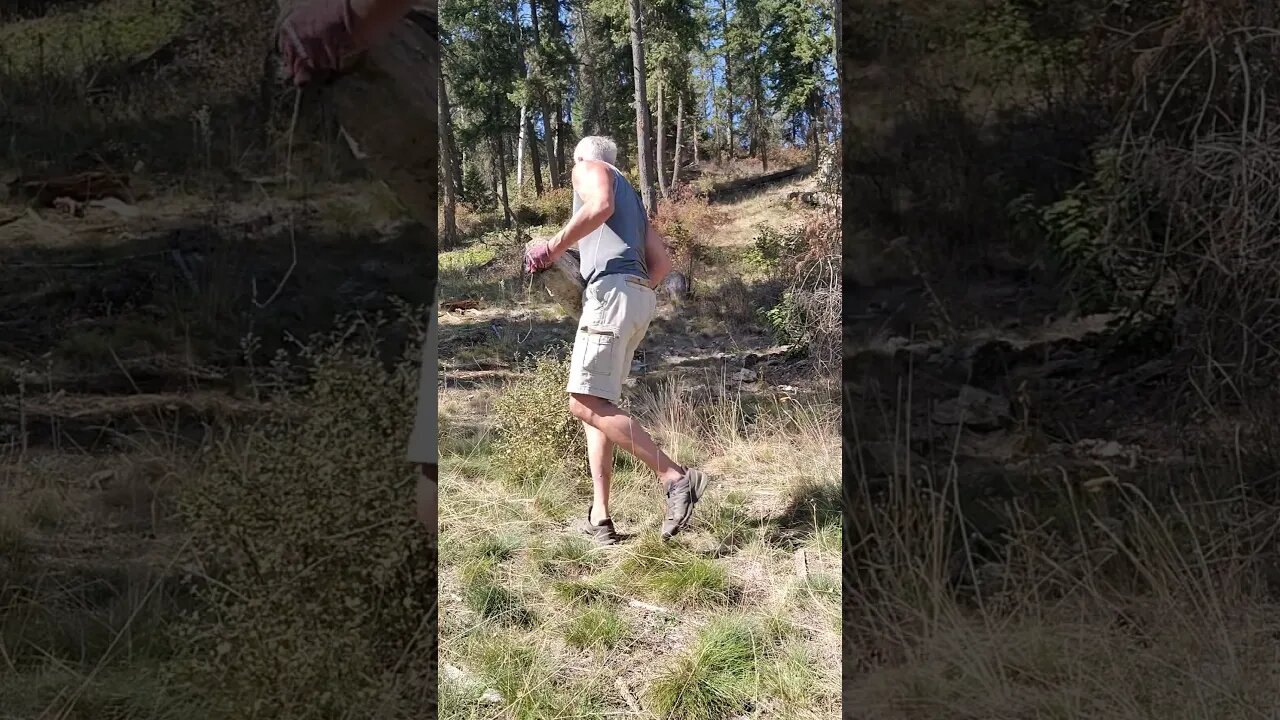 BFR hill climb workout #fitafterfifty #dohardthings #50andfit #hiking