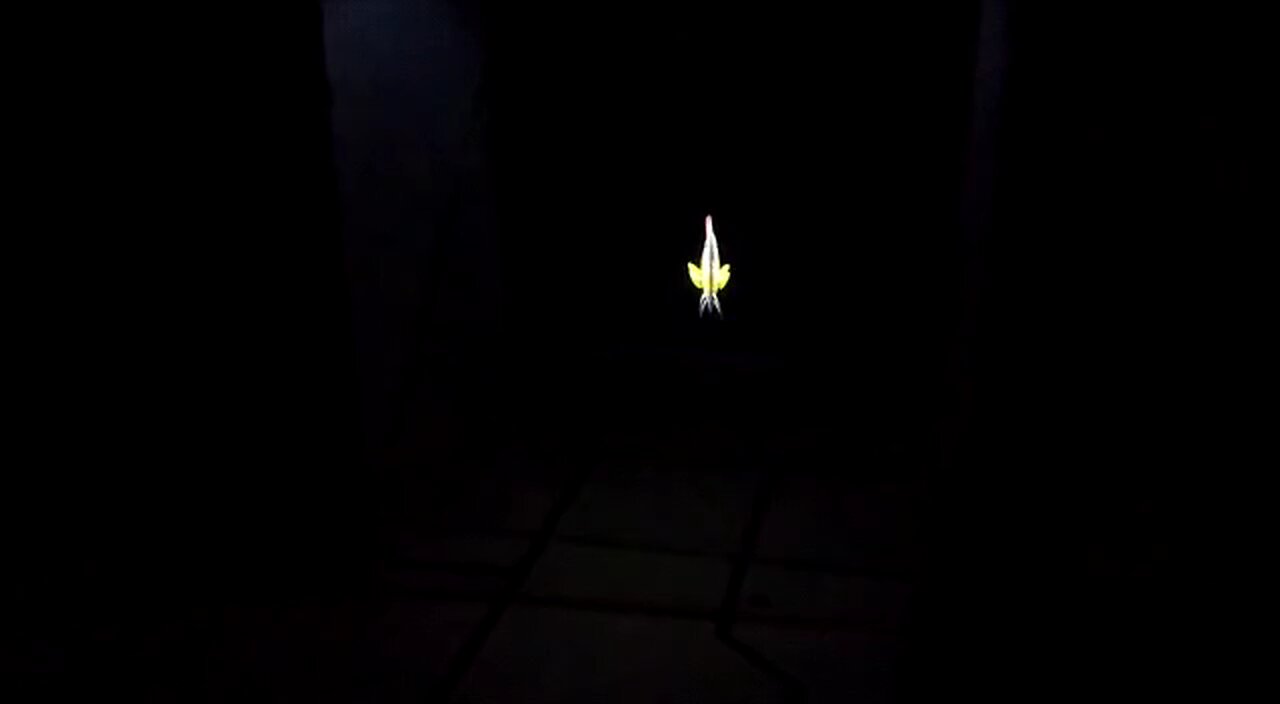 The illusions