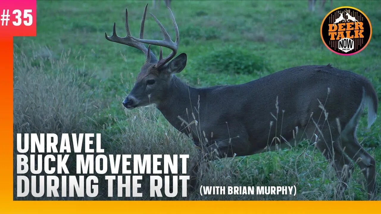 #35: UNRAVEL BUCK MOVEMENT DURING THE RUT with Brian Murphy | Deer Talk Now Podcast