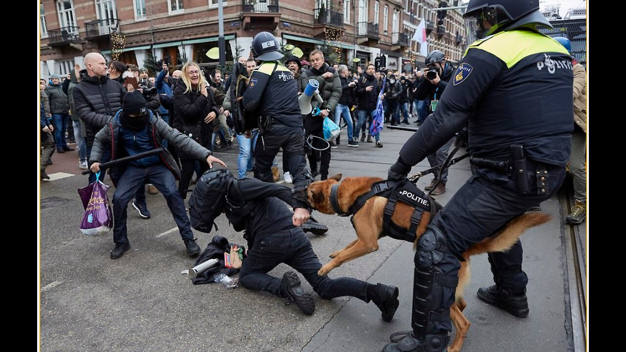 Lockdown protesters are MAULED by police dogs in Amsterdam