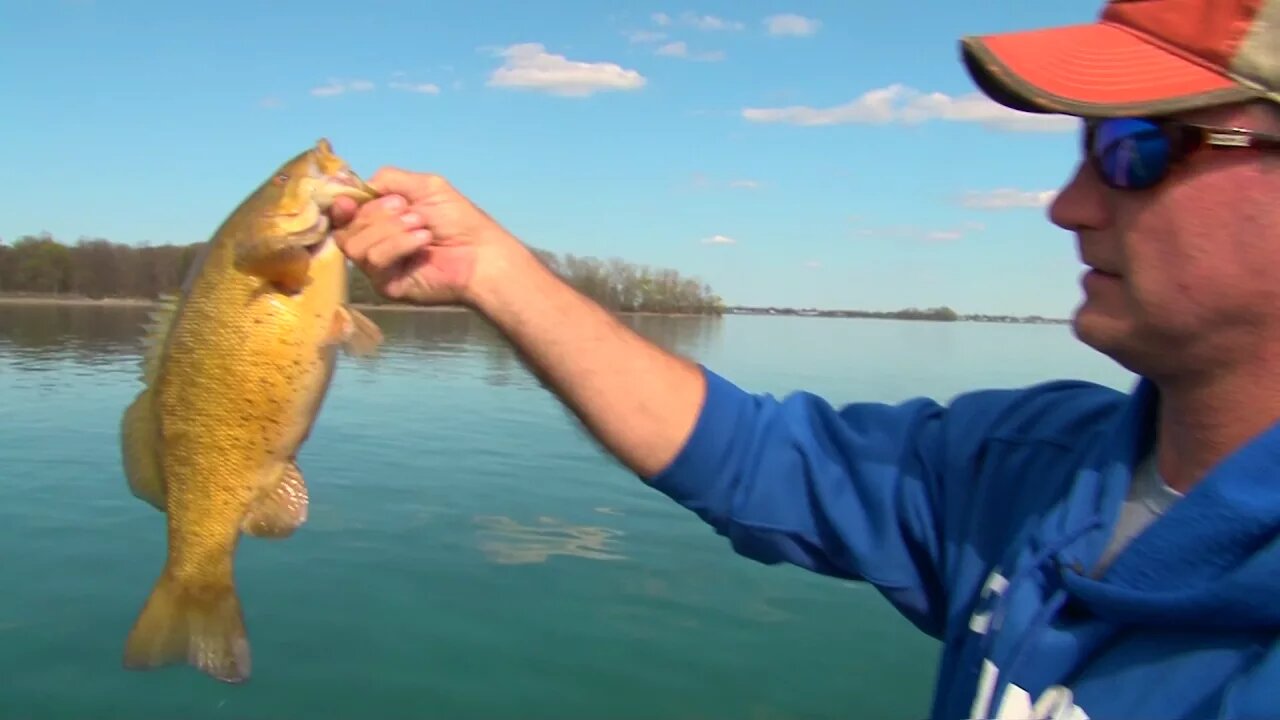 Niagara River Bass at Buffalo, NY