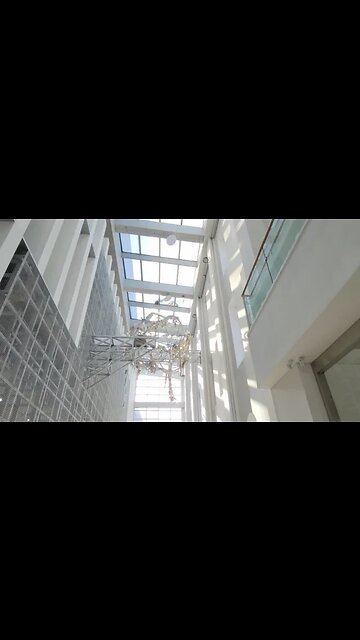 그대는 어디에서 와서 어디로 가나