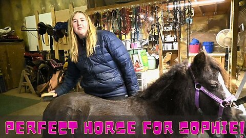 We Found The Perfect Horse For Sophie!