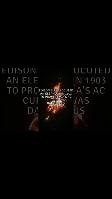 Incredible Random Facts That Will Expand Your Mind! [2023] #shorts #facts #viralshorts #fyp #life