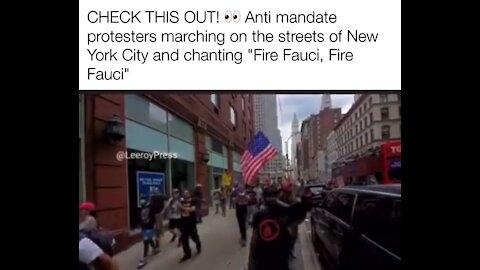 Fire Fraudci protest in NYC