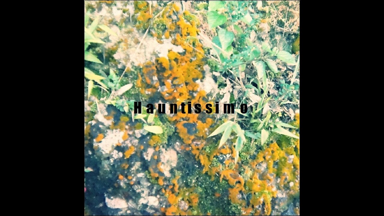 Hauntissimo - Social Anxiety Disorder