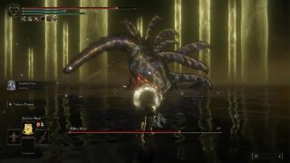 ELDEN RING Radagon + Elden Beast Boss Fight