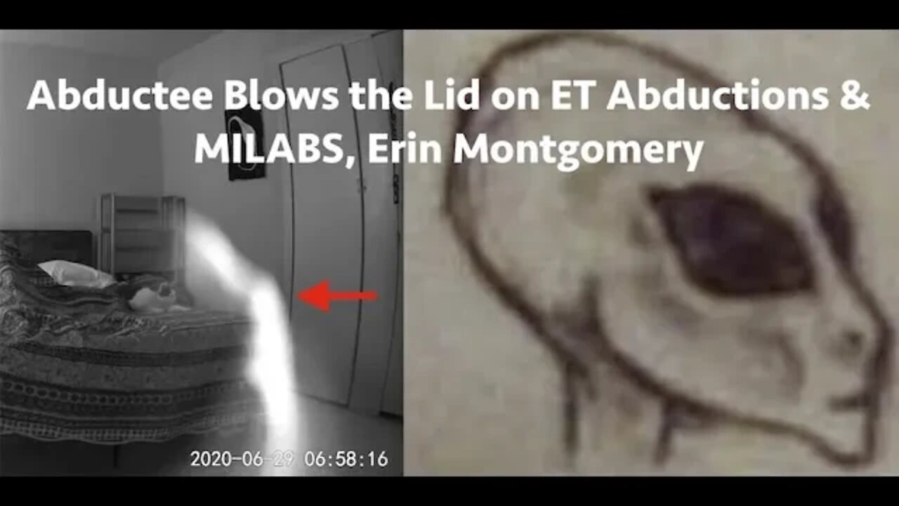 Abductee Blows the Lid Off ET Abductions & MILABS, Erin Montgomery