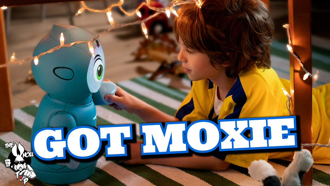 the Whole Tip Daily - GOT MOXIE