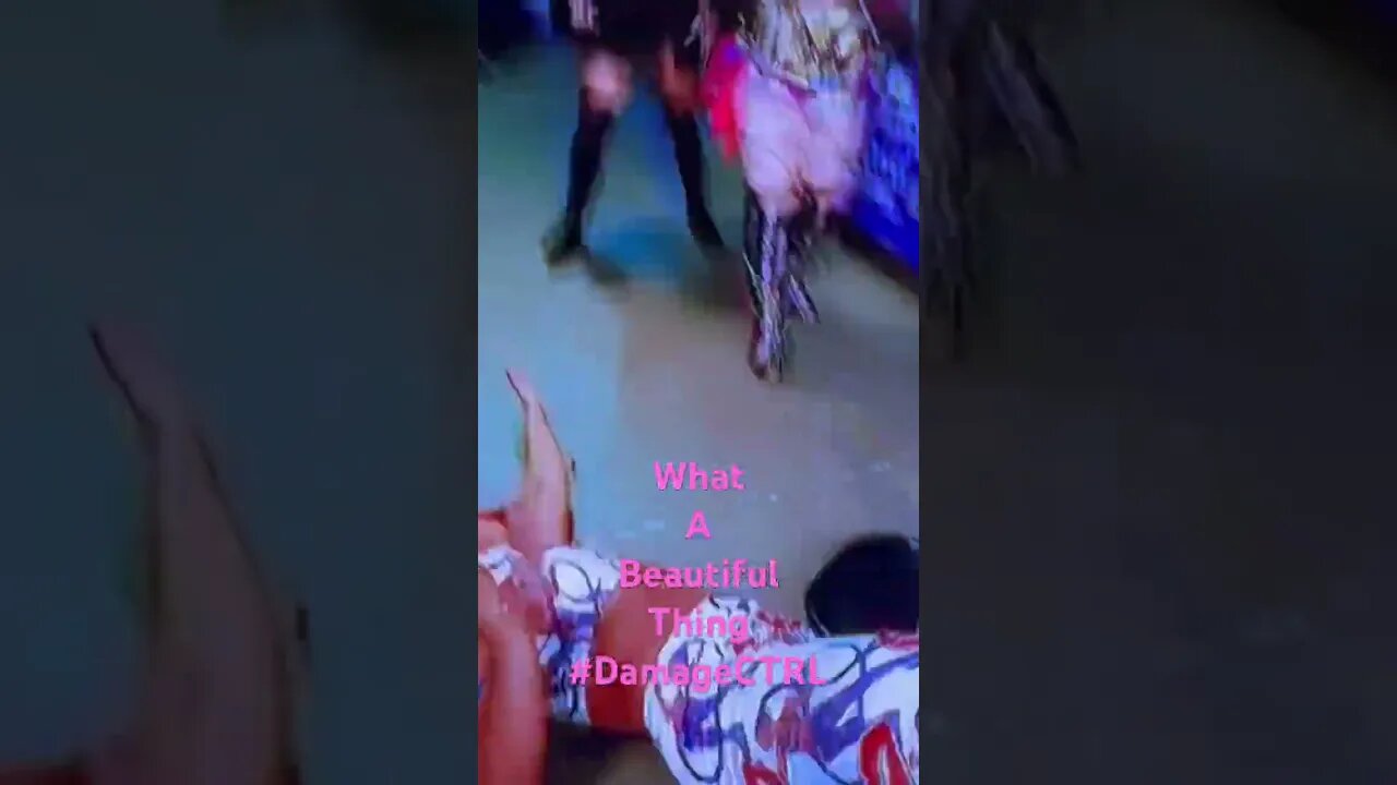 #FAAFO #biancabelair #damagectrl