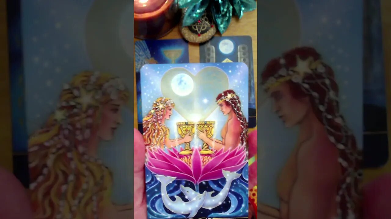 Does Someone Have a Crush on You That You're Not Aware Of? 🌹Personal Tarot Reading 🔮Timeless 🌅