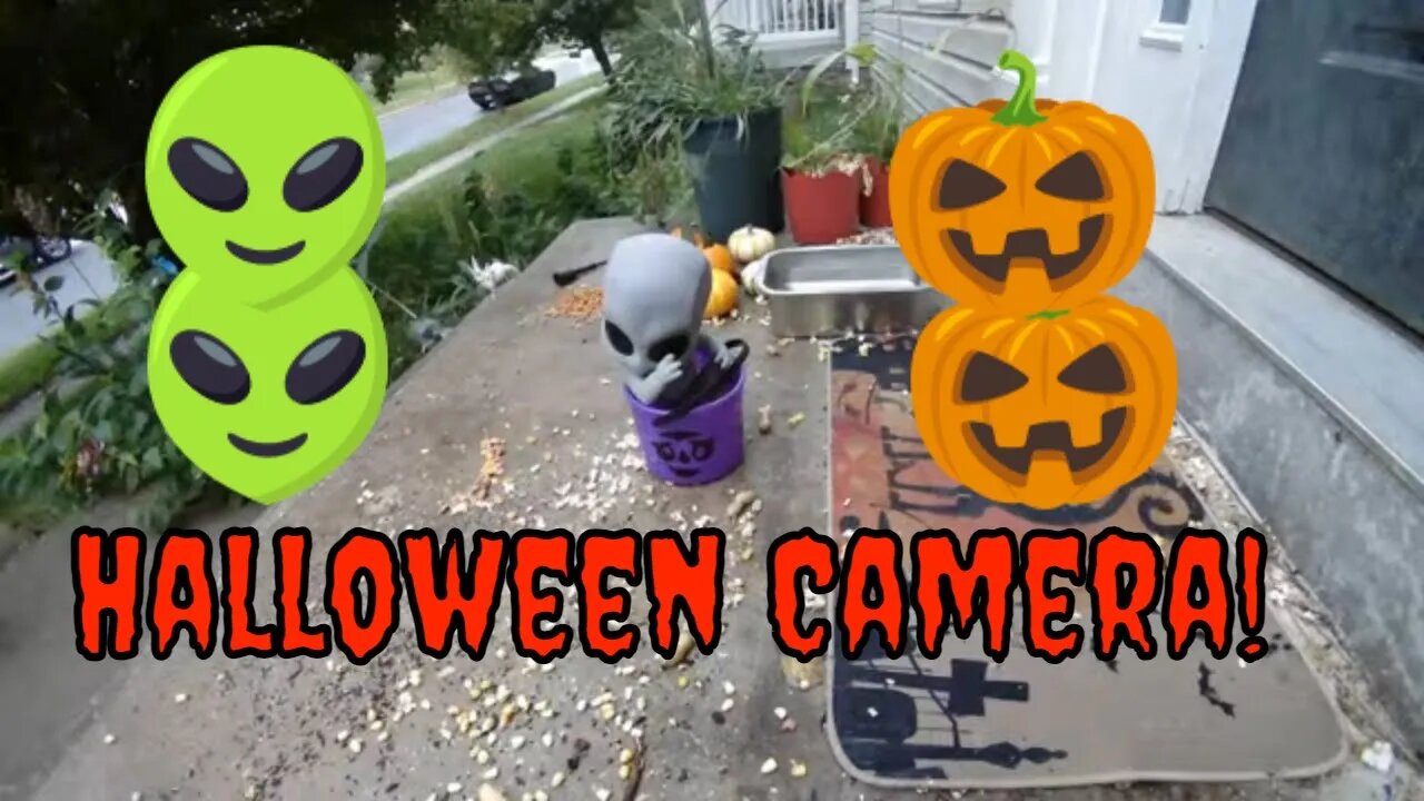 Halloween Camera Venus And Her New McDonalds Bucket! 🎃