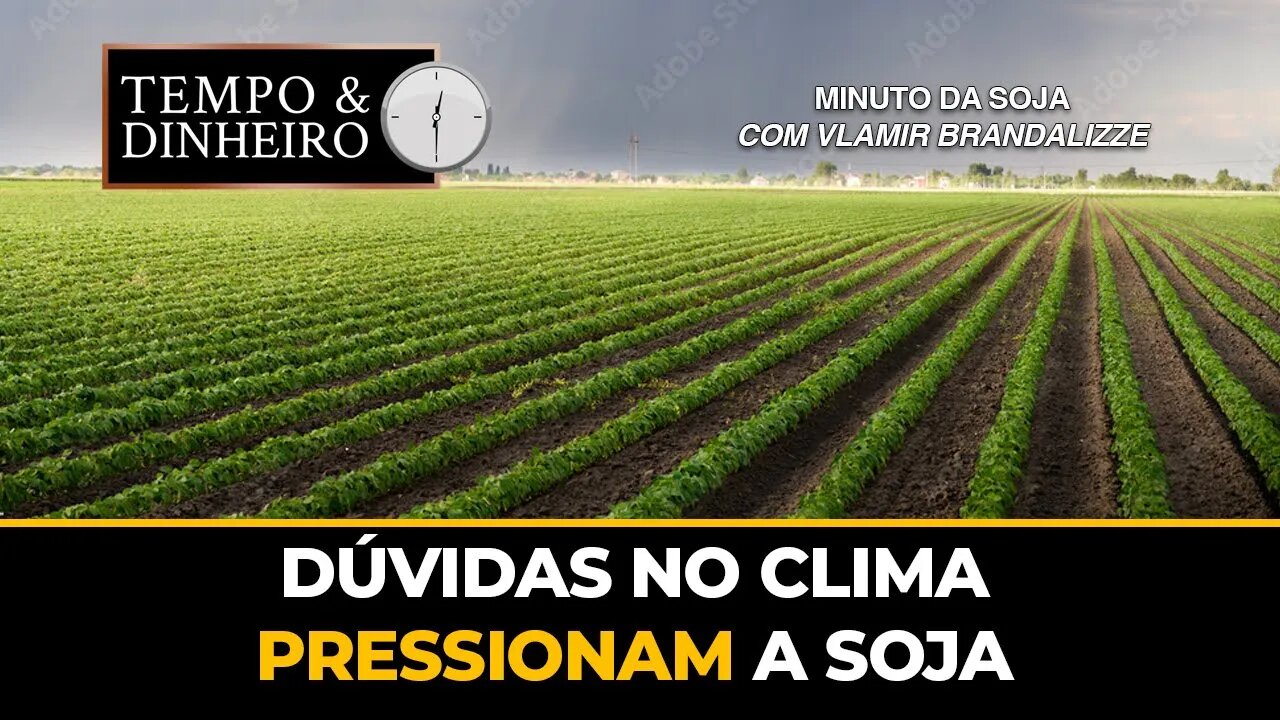 Dúvidas no clima pressionam a soja