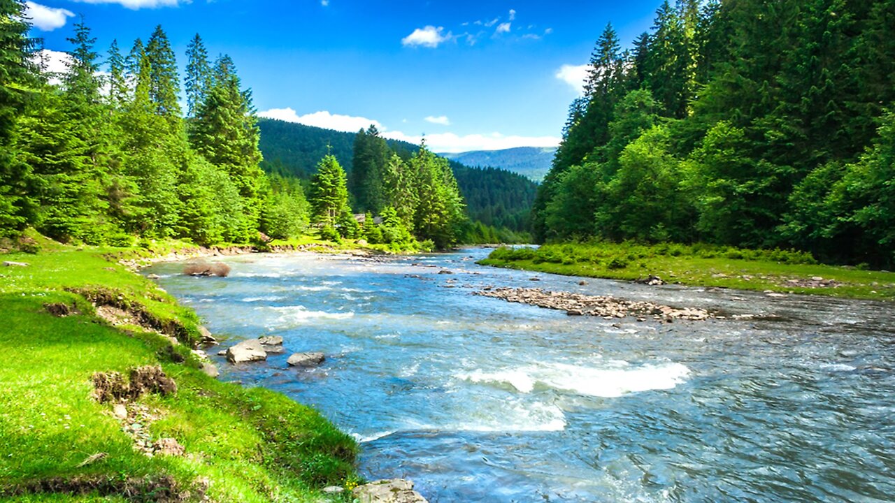 Beautiful nature