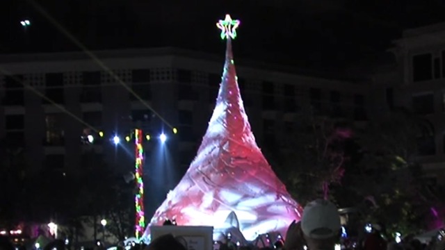 Sandi Tree lights up the downtown West Palm Beach waterfront