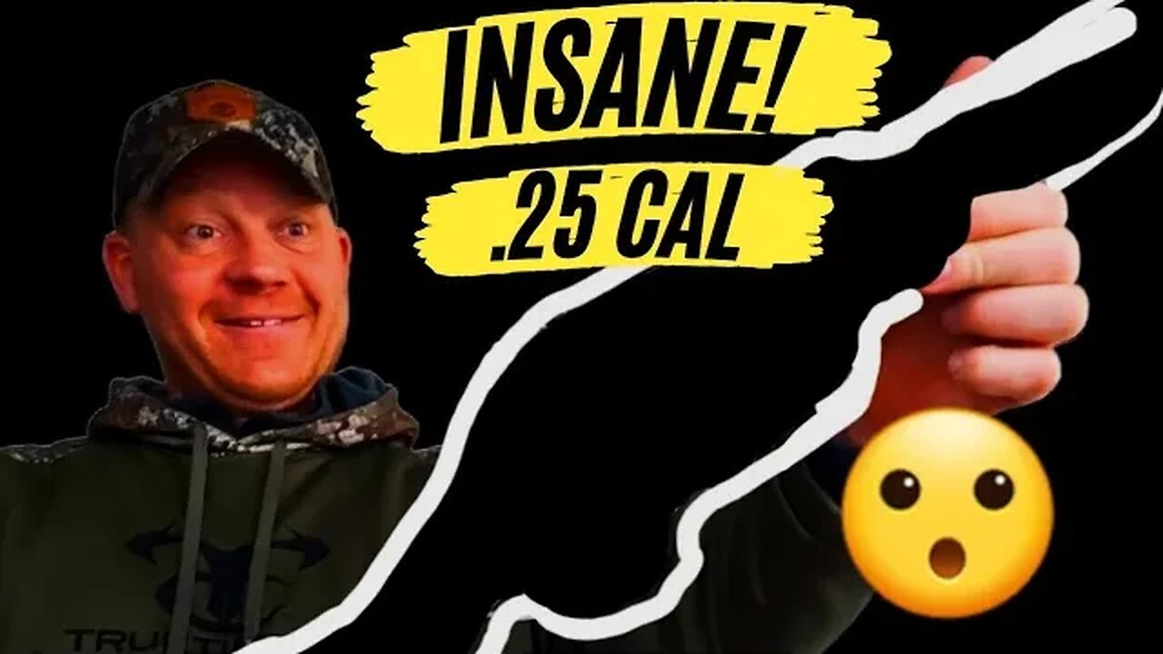 .25 Caliber Rifle With Insane Precision!!! [and Trick Shots]