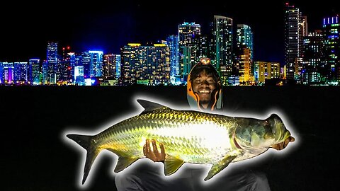 Catching TARPON off of *MILLION DOLLAR* Miami Mansions