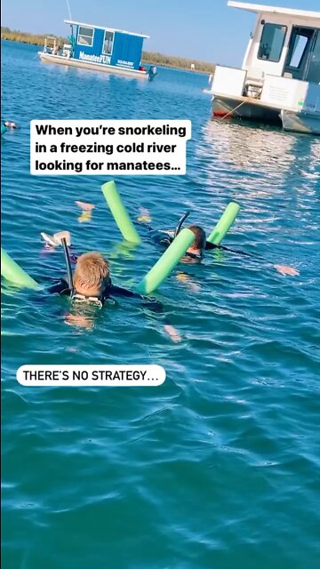 Searching for Manatees - The Adventure List Family