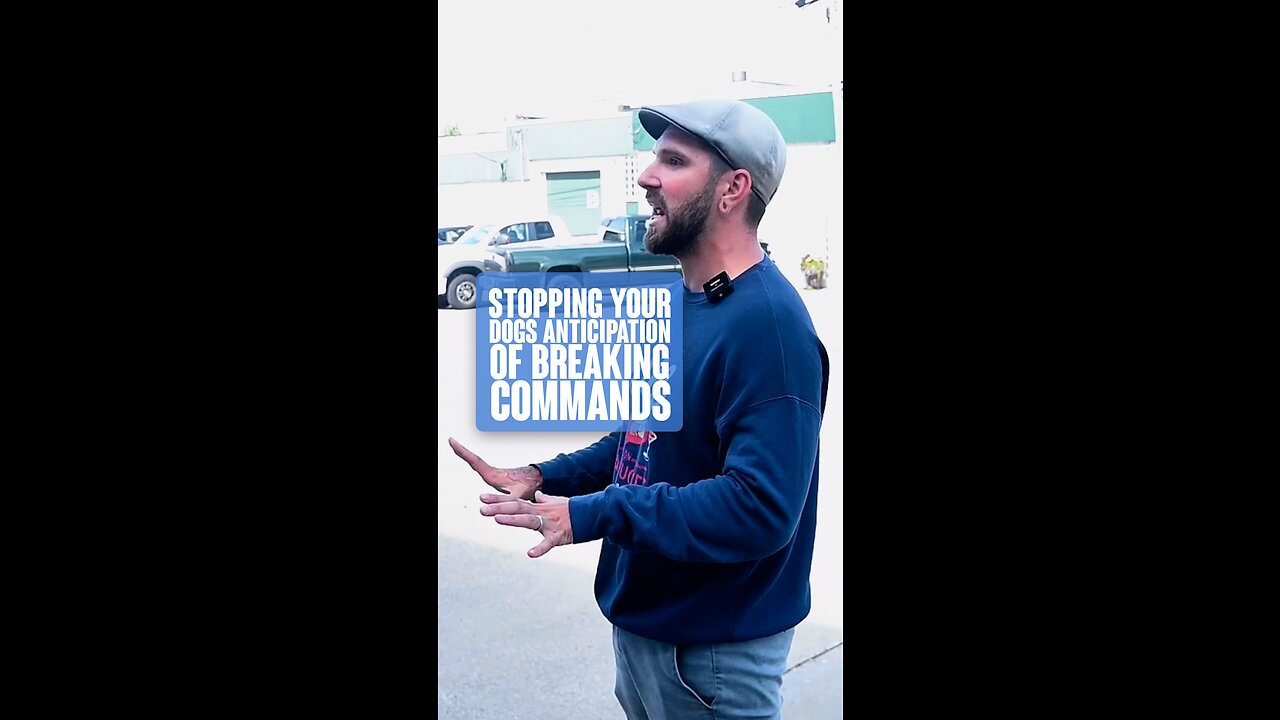 Stopping Your Dogs Anticipation Of Breaking Commands