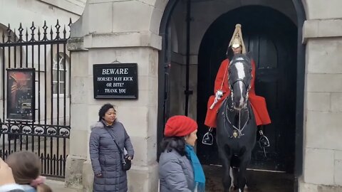 so scared of the kings guards horse you loose balance #horseguardsparade