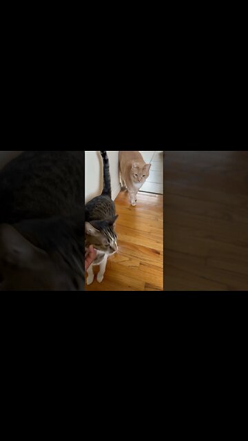 They thought I was feeling them today