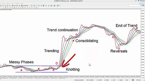 Toast Fx - Understanding Market Phases