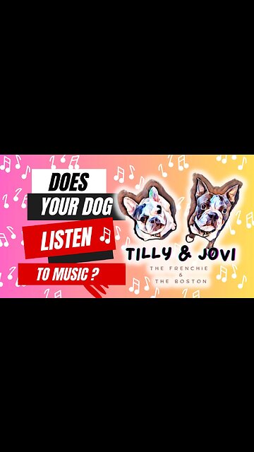 🐶Tilly & Jovi “We Love Mummy Singing” Phil Collins Against All Odds Cover (Geri Ward Music) #shorts