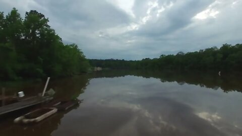 Everglades Reflections