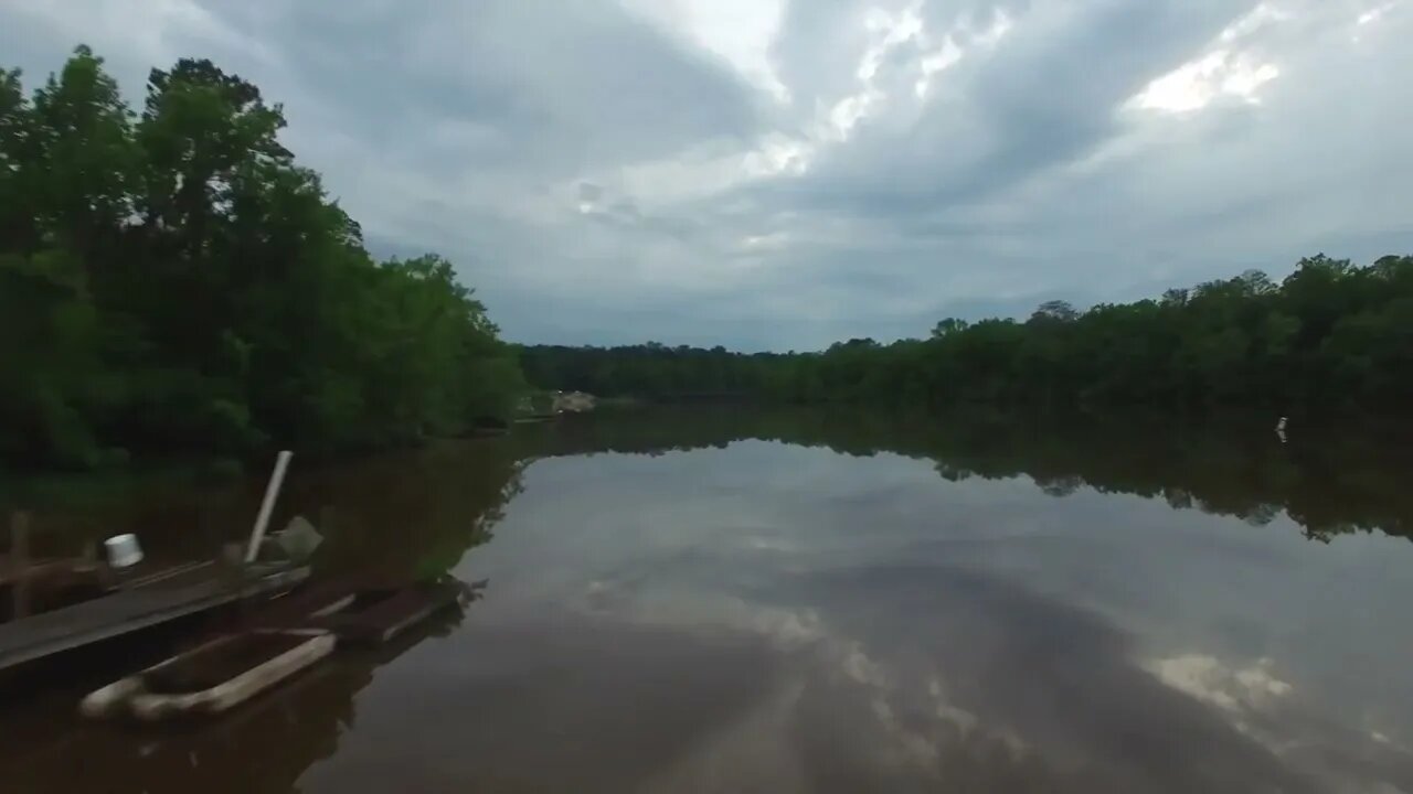 Everglades Reflections
