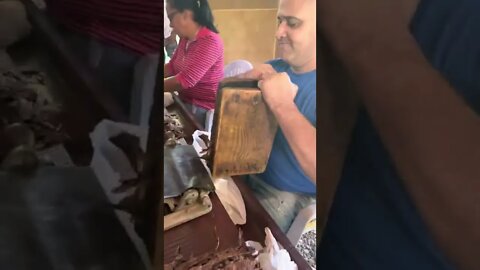 Making cigars from scratch in Dominican Republic 🇩🇴