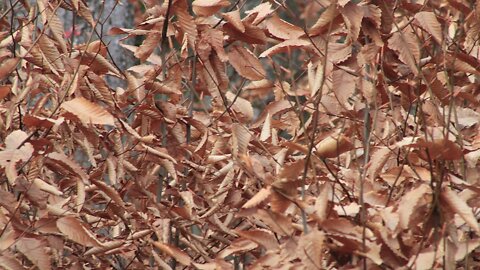 This is then and Now