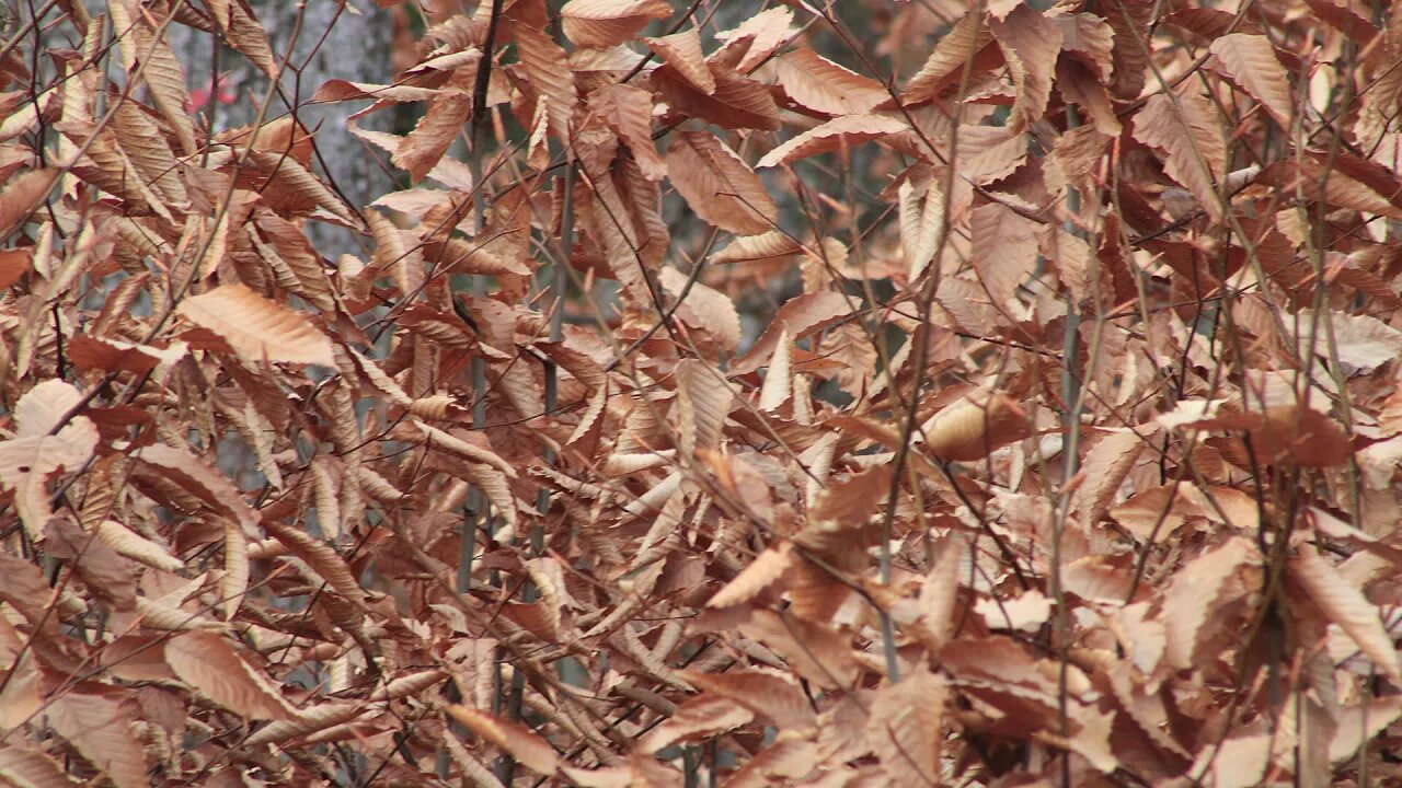 This is then and Now