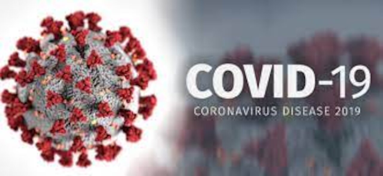 'Vaccines won't work': US virologist breaks down COVID-19, how to curb spread