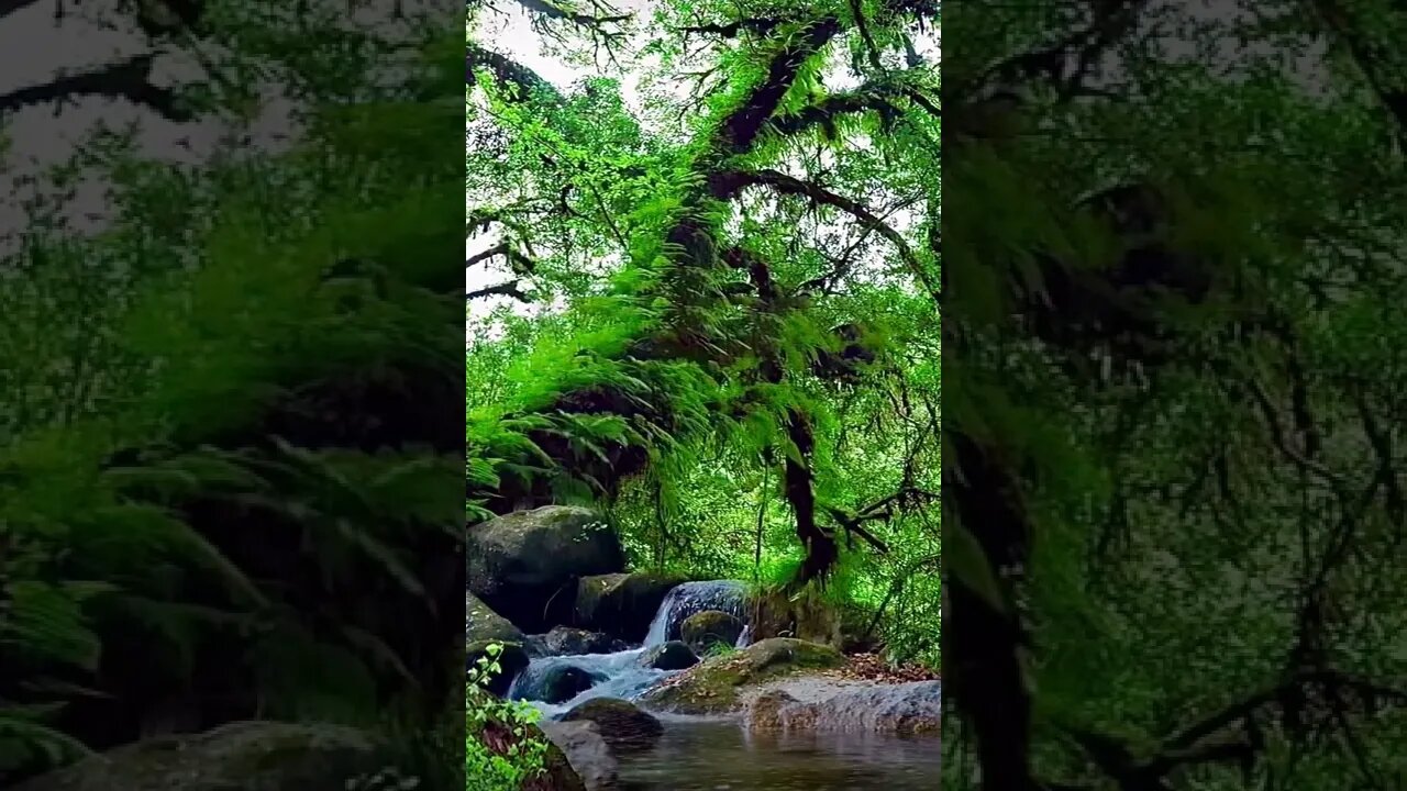 #waterfall #water #relaxing🧘🏽