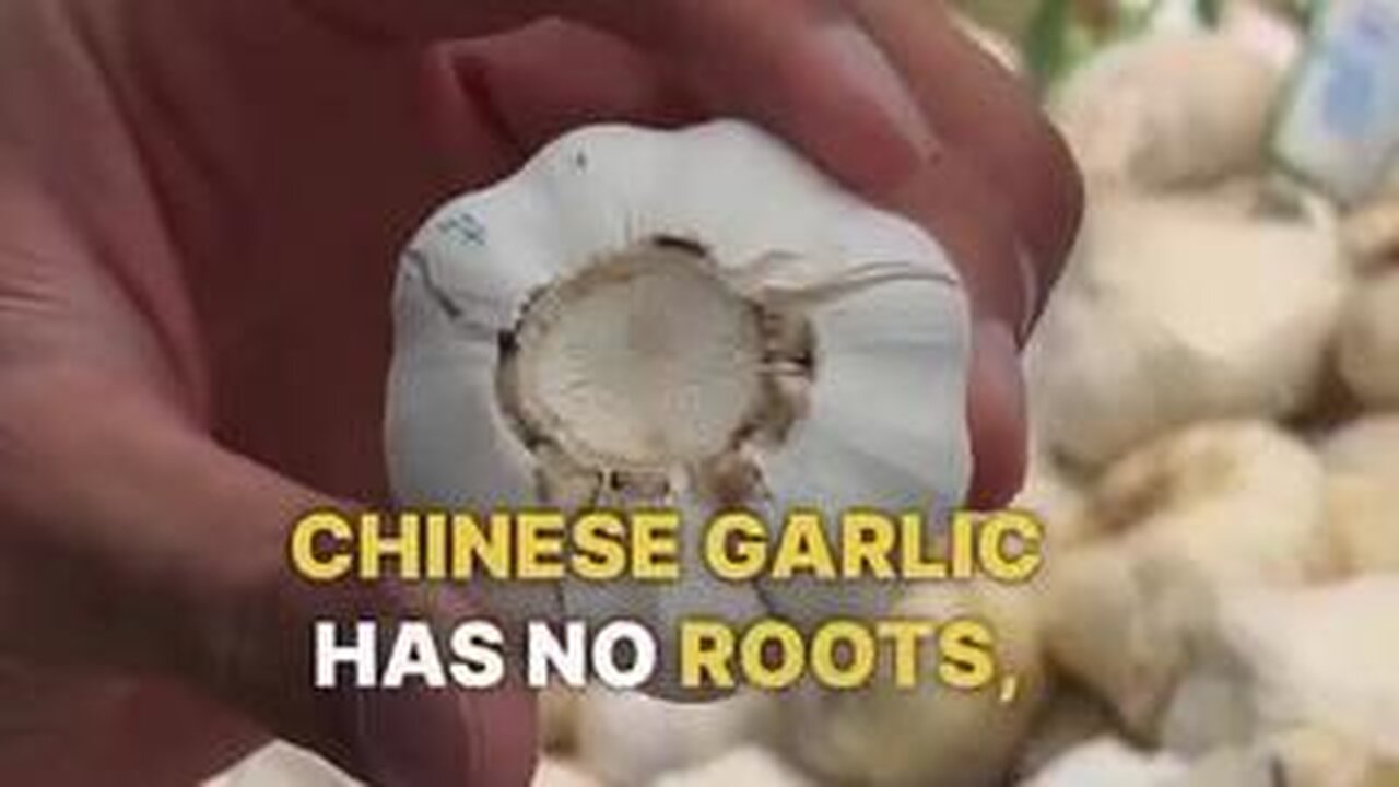 Stop Buying Chinese Garlic