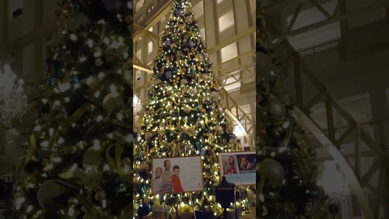 Legions of the Polish Americans for Trump visiting Trump International Hotel Washington DC