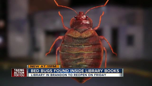 Brandon Regional Library closes temporarily after staff finds bed bugs in returned books