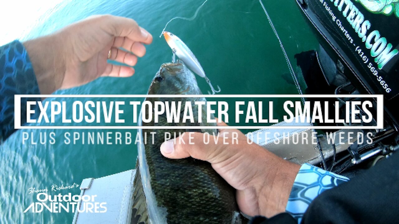 Spinnerbait Pike & Topwater Smallies | Lake Ontario