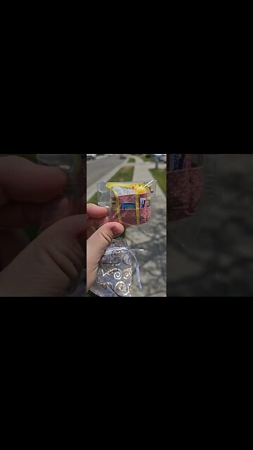 Worlds Smallest Diaper Baby