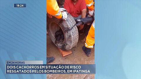 Em 24 horas: 2 cachorros em situação de risco resgatados pelos bombeiros, em Ipatinga.