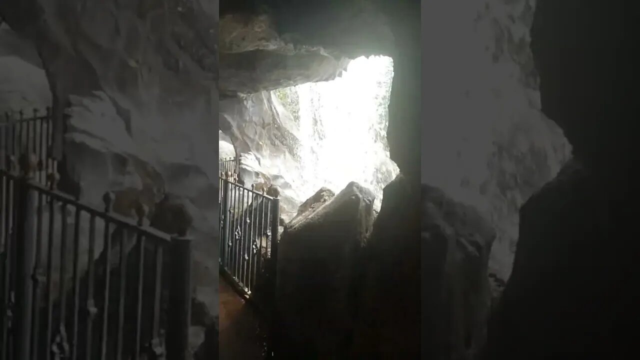 #etsukojunio #etsukofans #fransiscaofficial #teamfransisca #沉连清 #fransisca #fransiscametaworld