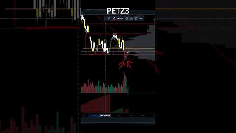 PETZ3 PODE APRONTAR ! #petz3