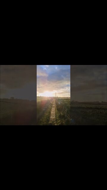 What To Do when you're ALL ALONE! #shorts #shortvideo #MusicbyScott #ScottSpalding