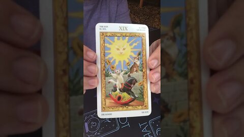 March 5th 2023 Major Arcana #tarot #shorts