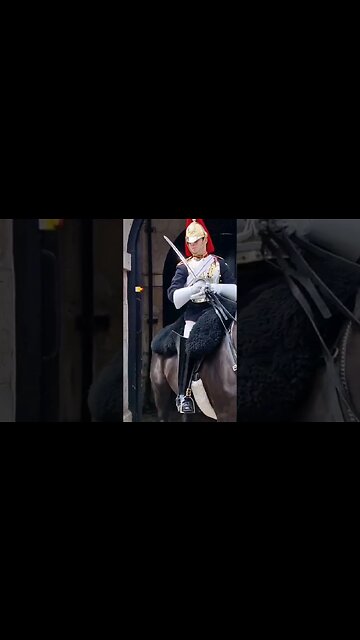 Get back #horseguardsparade