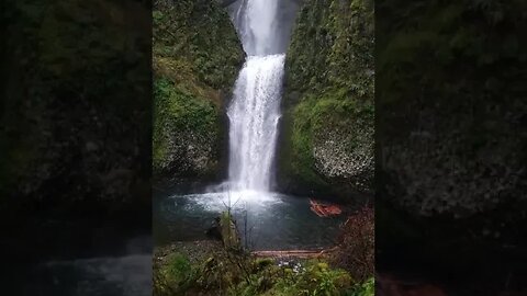 Double Tap this video if you like this Nature Content! #shorts #fishing #outdoors #nature