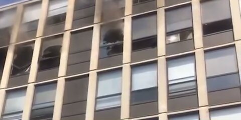 CAT JUMPS from 5th floor window escaping FIRE and landing miraculously unharmed